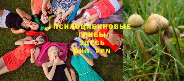 кокаин перу Каменка