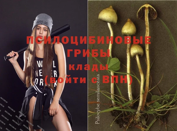 а пвп мука Каменногорск
