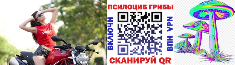 Галлюциногенные грибы Psilocybine cubensis  Купить где  Коряжма 